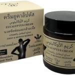 Eucalyptus Cream – Joint & Muscle Massage